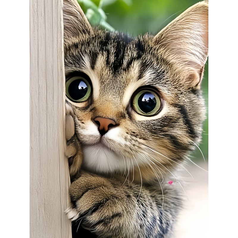 Resin Art Images - Unframed Diamond PaintingMischievous Cat Diamond Painting